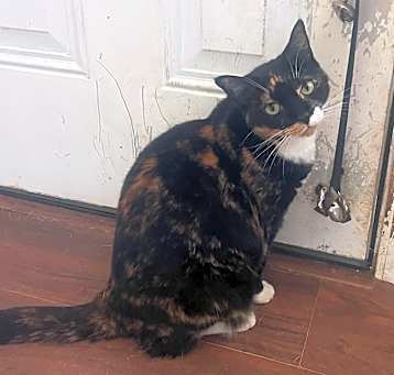 Photo of Mila