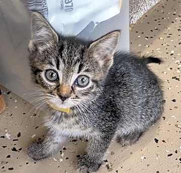 Photo of Enid