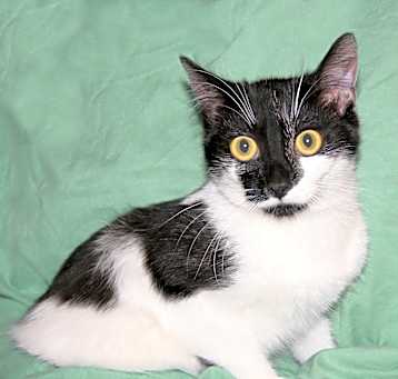 Photo of Hudson