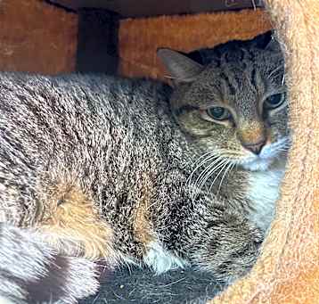 Photo of Sammy