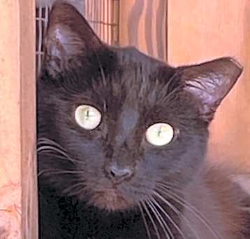 Photo of Fiona