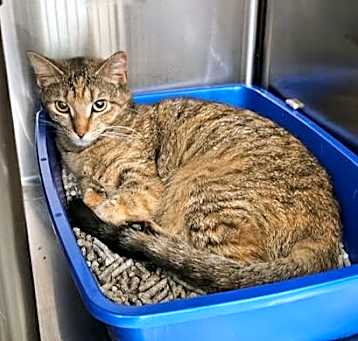 Photo of Cece