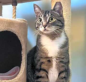 Photo of Sugar