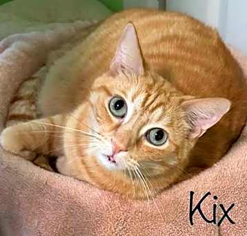 Photo of Kix