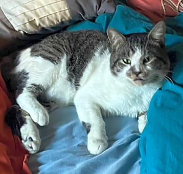 Photo of Billy