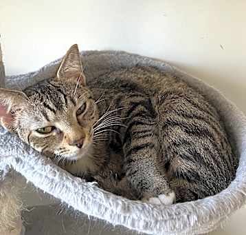 Photo of Rocket