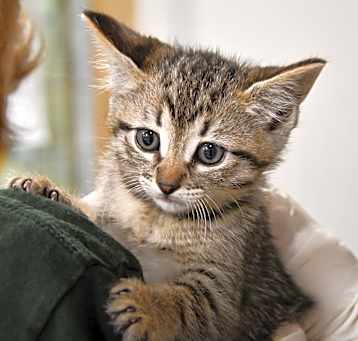 Photo of Tabitha