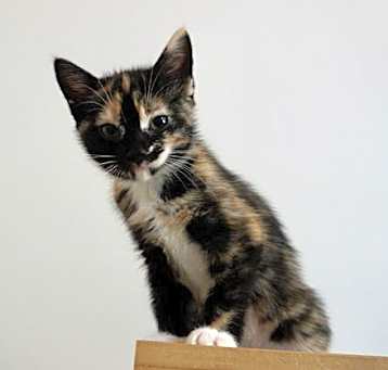 Photo of Wendy