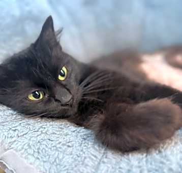 Photo of Lil Bit