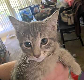 Photo of Chubb
