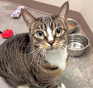 Photo of Miss Chief
