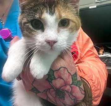 Photo of Mildred