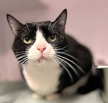 Photo of Dyna