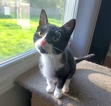 Photo of Scuttlebutt