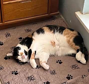 Photo of Chrissy