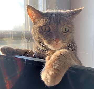 Photo of Kiki
