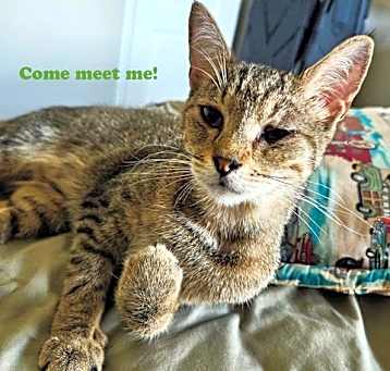 Photo of Tabitha