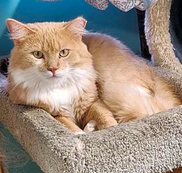 Photo of Darla