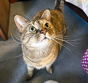 Photo of Ranger