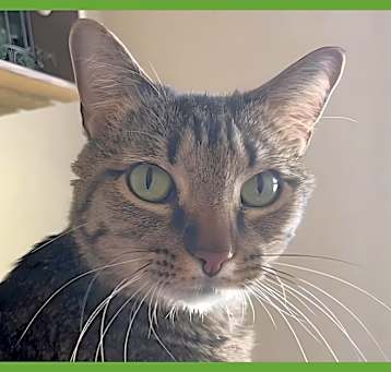 Photo of Meep