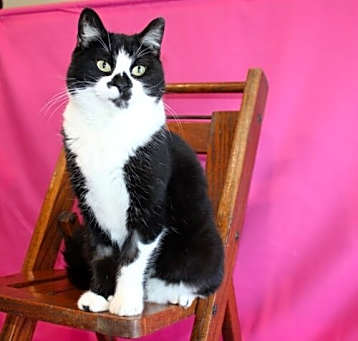 Photo of Susanna
