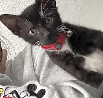 Photo of Zero
