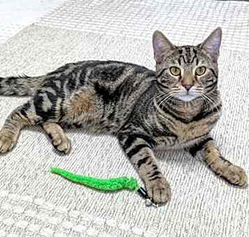 Photo of Serious Sam