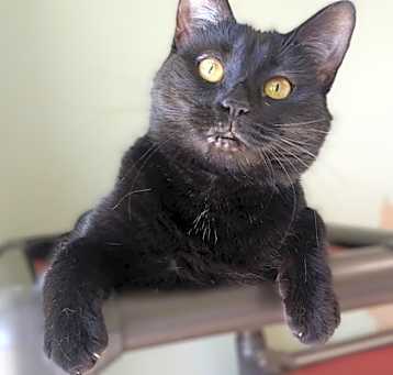 Photo of Esmerelda