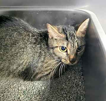 Photo of Spice