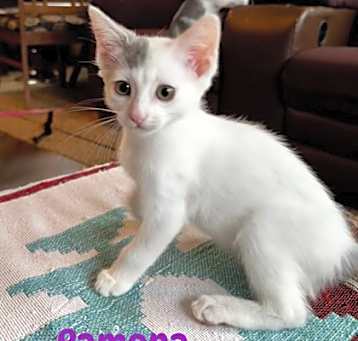 Photo of Ramona