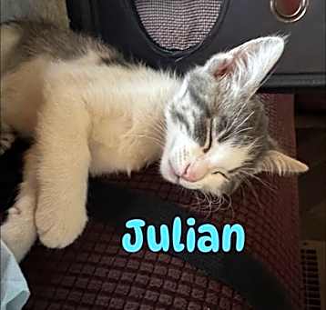 Photo of Julian
