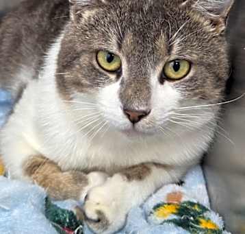 Photo of Whiskers