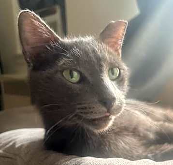 Photo of Harry Pawter