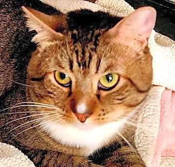 Photo of SAMMY