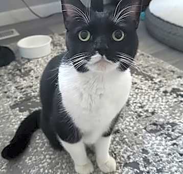 Photo of Pantera