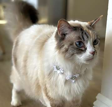 Photo of Beatrice