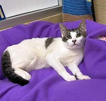 Photo of Tina