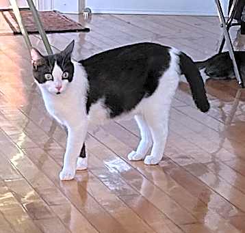 Photo of Vacita