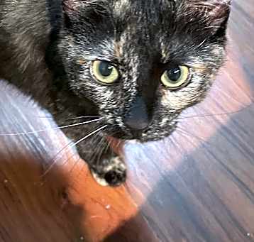 Photo of Marble