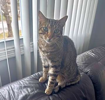Photo of Kiki