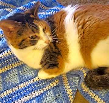 Photo of Murphy