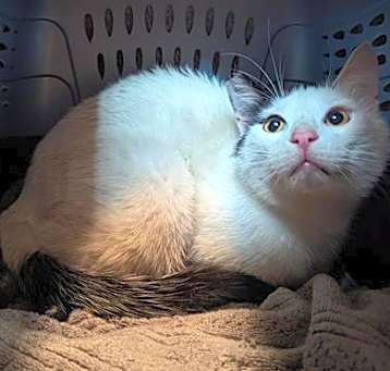 Photo of MONTY