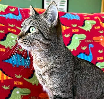 Photo of Ripley