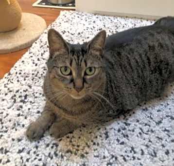 Photo of Sophie
