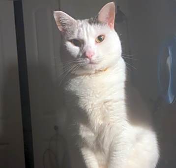 Photo of Hazel