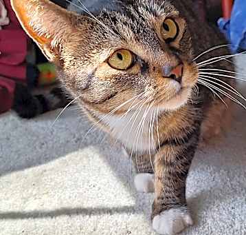 Photo of Tabatha