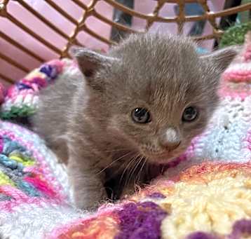 Photo of Guiness
