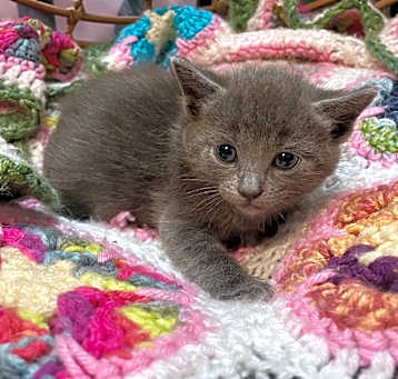 Photo of Murphy