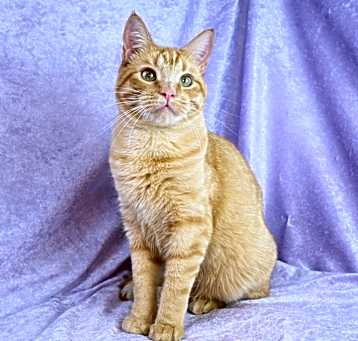 Photo of Squirt