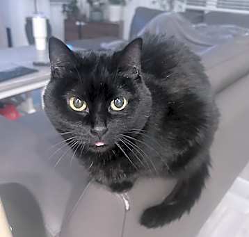 Photo of Betty